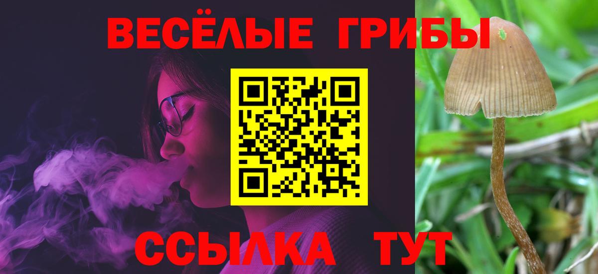 Галлюциногенные грибы Magic Shrooms  Вход с VPN  Белорецк 